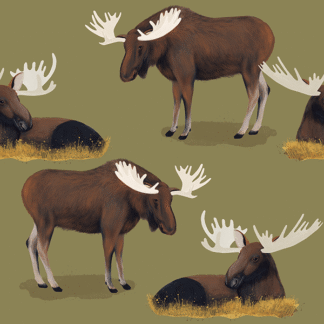 Prodcut with zero as price